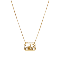 Zodiac Aquarius Necklace 20. Jan - 18. Feb