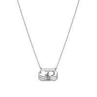 Zodiac Capricorn Necklace 22. Dec - 19. Jan